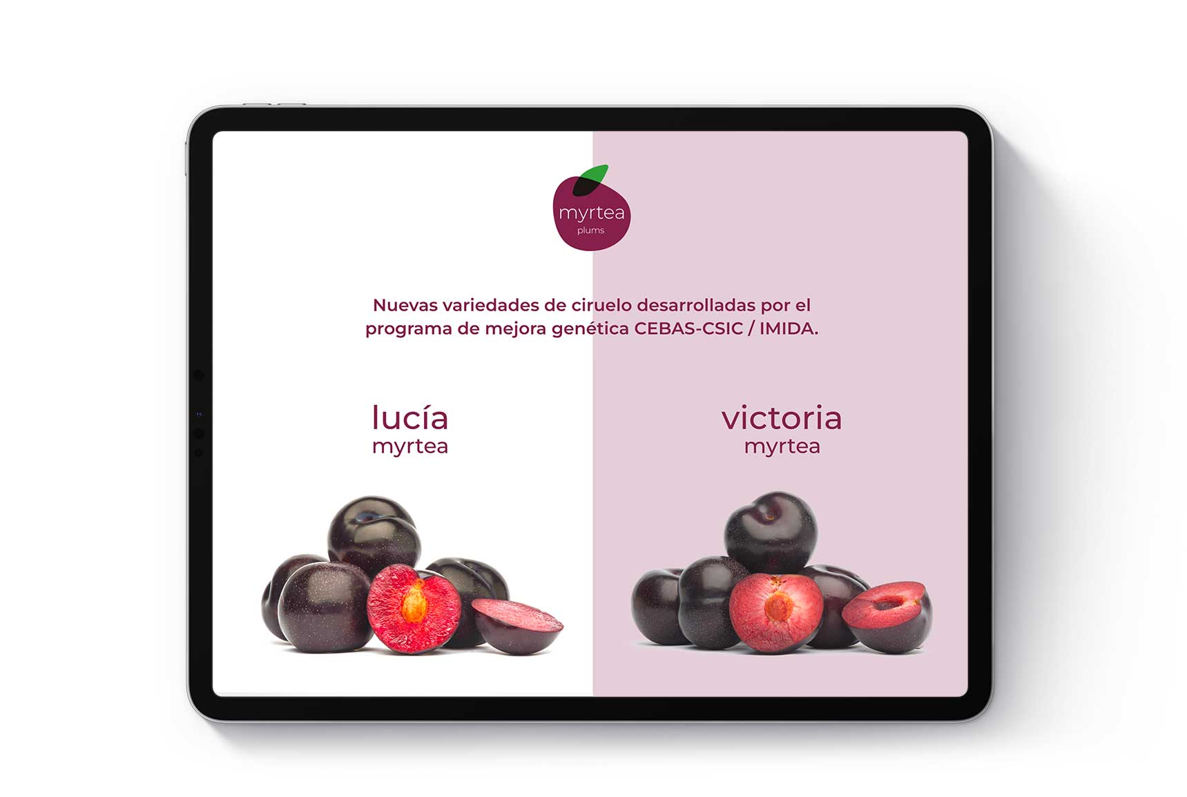 branding para Myrtea plums
