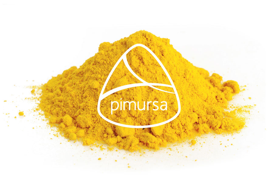 branding-pimursa-03