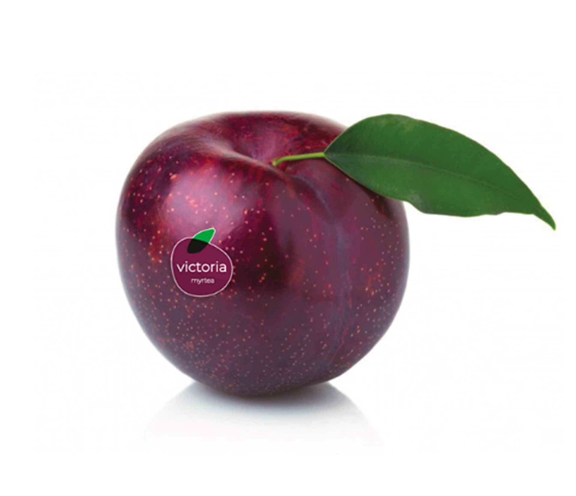 plums-carrusel
